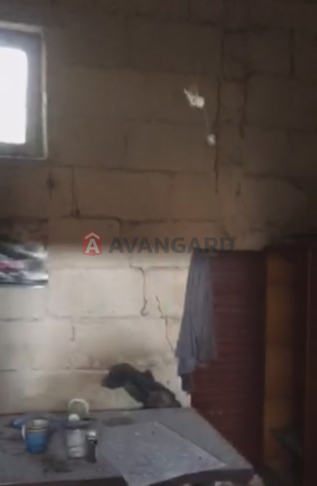 ��������� ���������, ��������� ���������, 424 ��.�. ���� 13