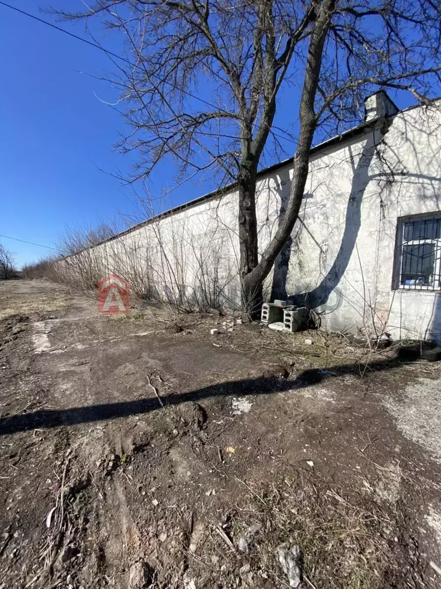 ��������� ���������, 2750 ��.�. ���� 7