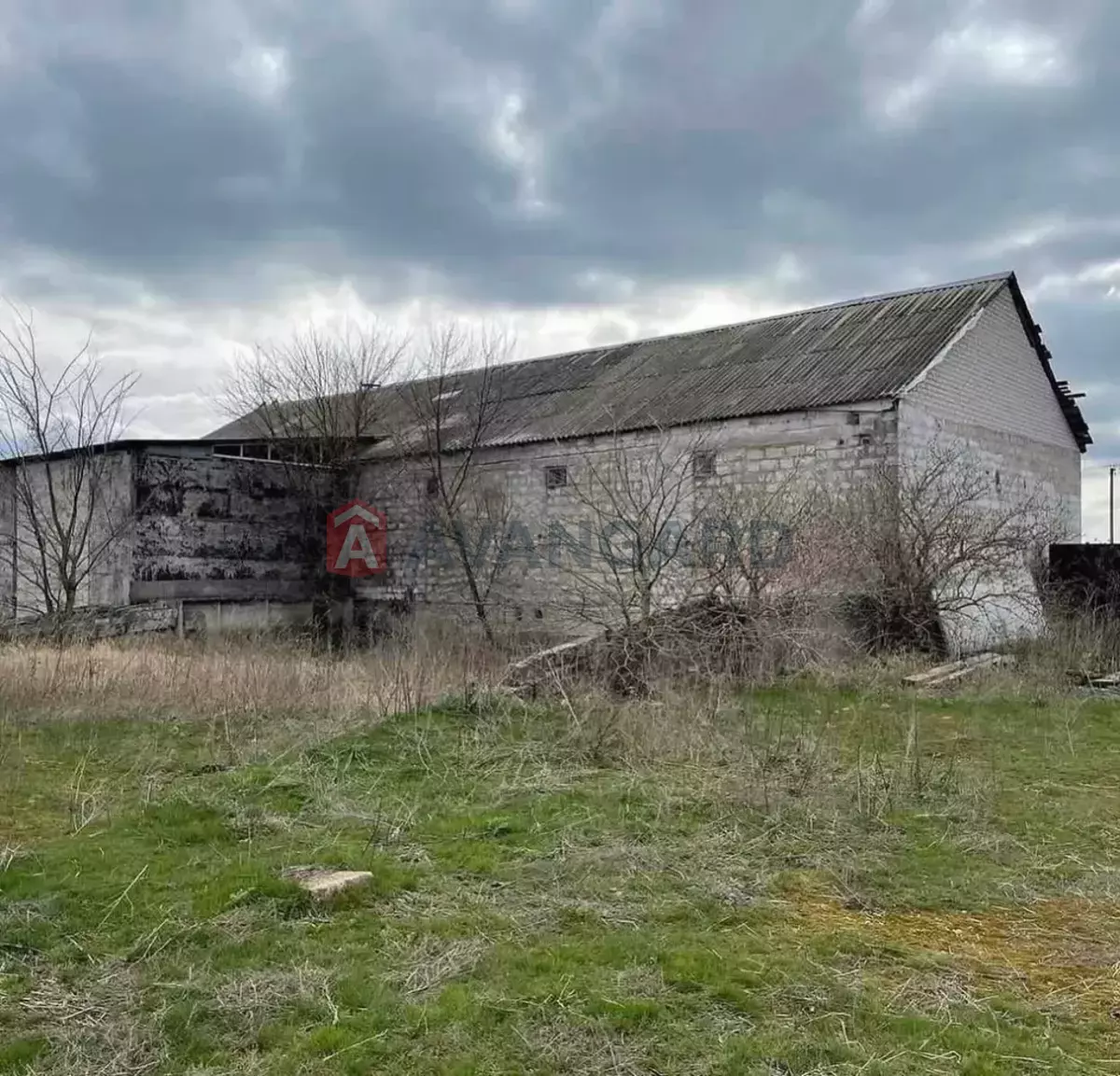 ��������� ���������, 400 ��.�. ���� 13