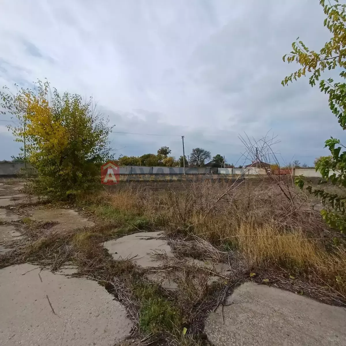 ��������� ���������, 400 ��.�. ���� 5