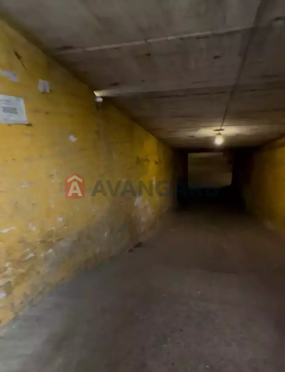 ��������� ���������, 646 ��.�. ���� 8