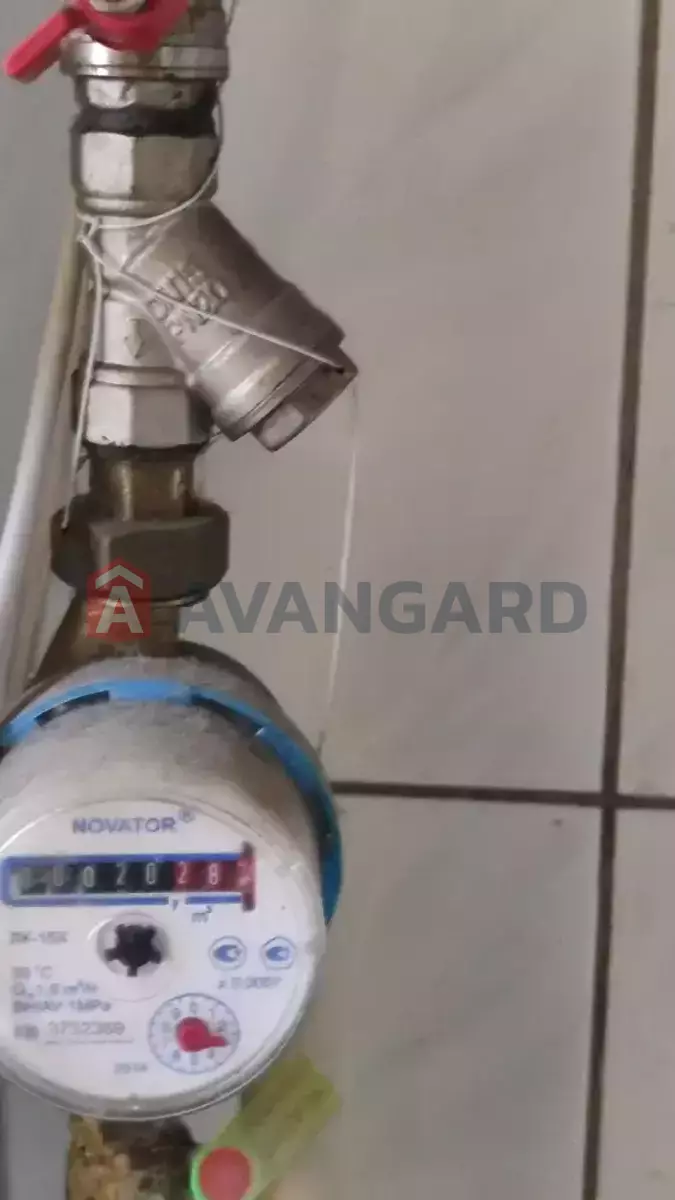 ��������� ���������, 100 ��.�. ���� 23