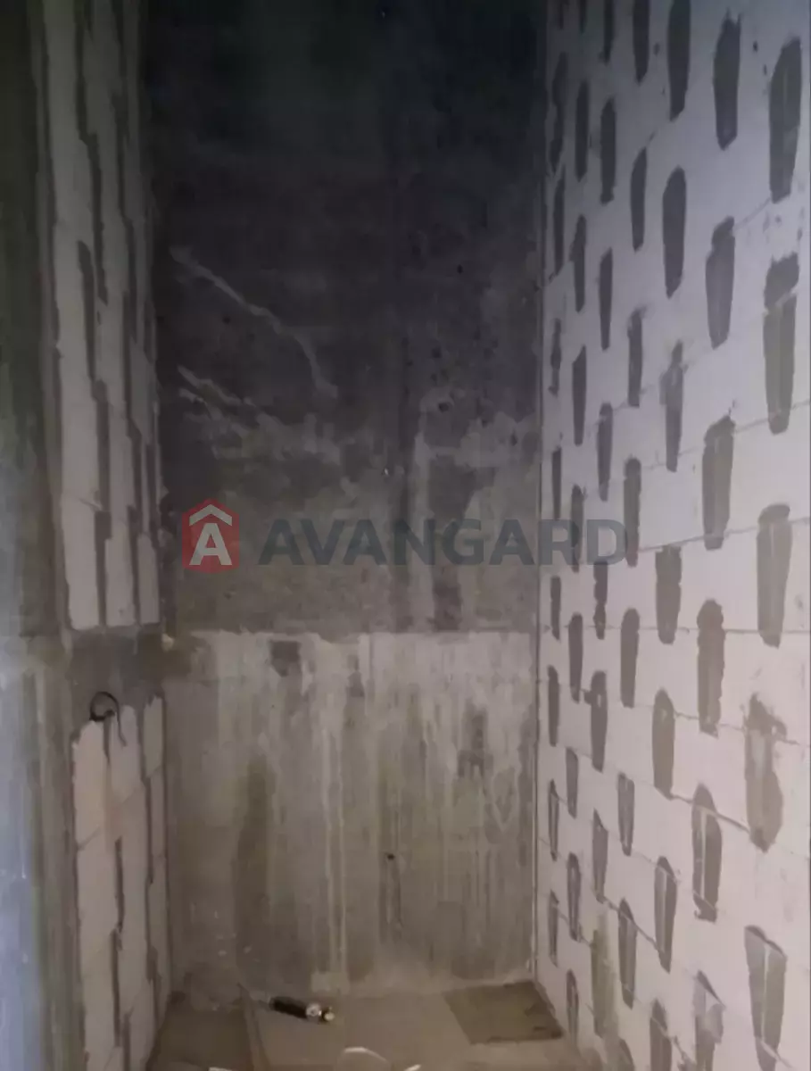 ��������� ���������, 5 ��.�. ���� 4