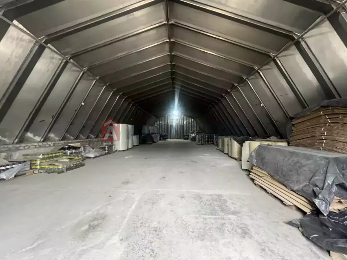 ��������� ���������, 3245 ��.�. ���� 20