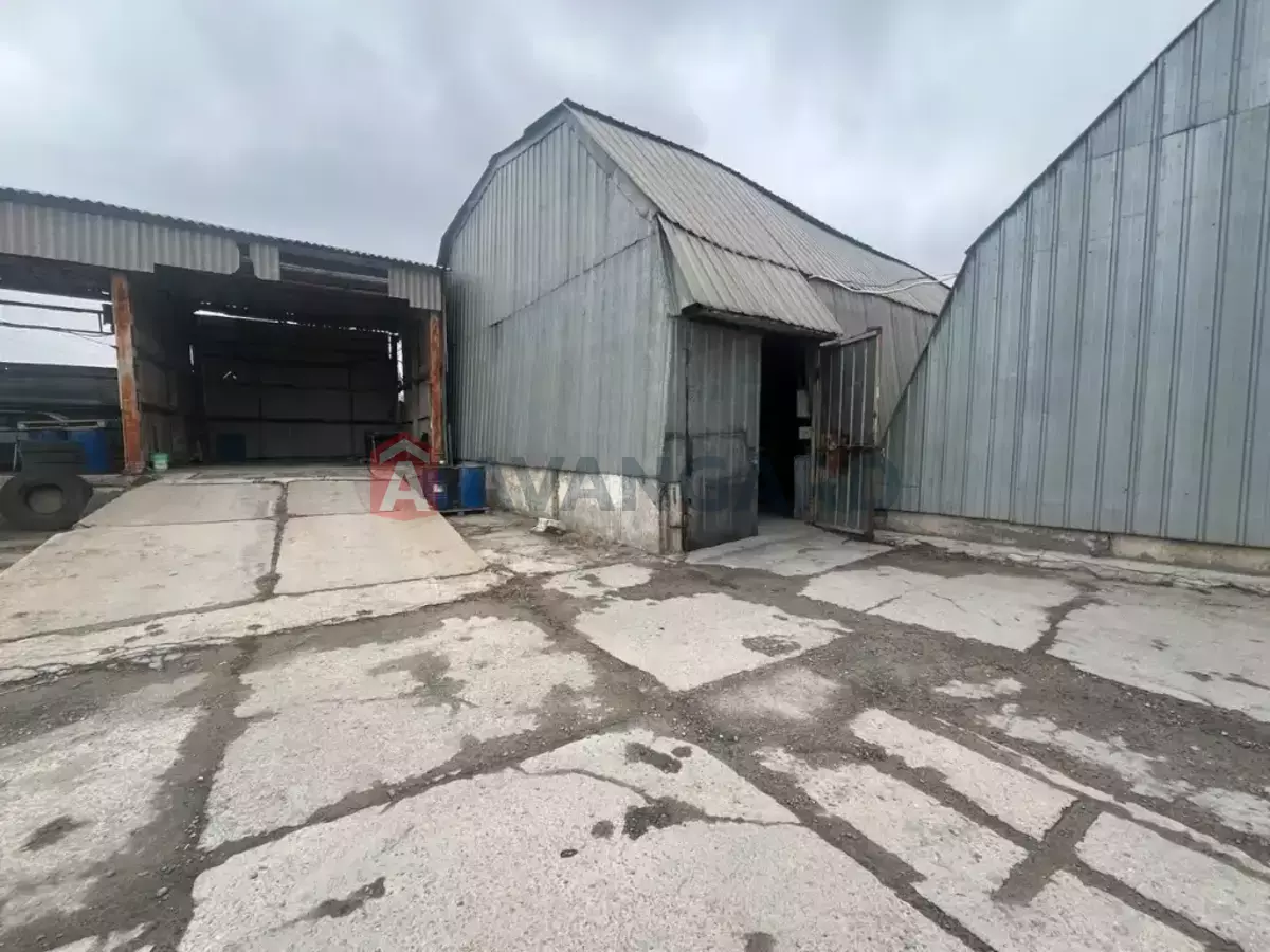 ��������� ���������, 3245 ��.�. ���� 29