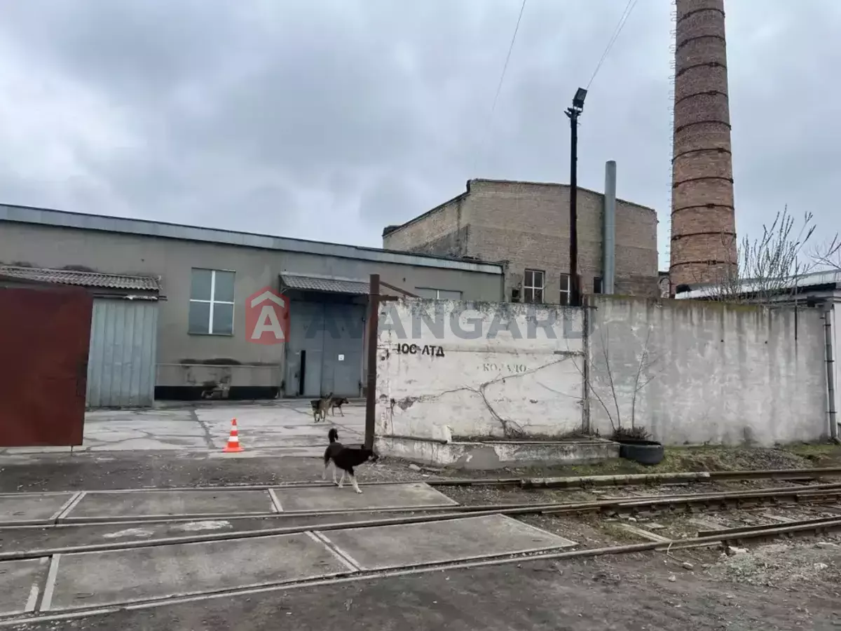 ��������� ���������, 3245 ��.�. ���� 26