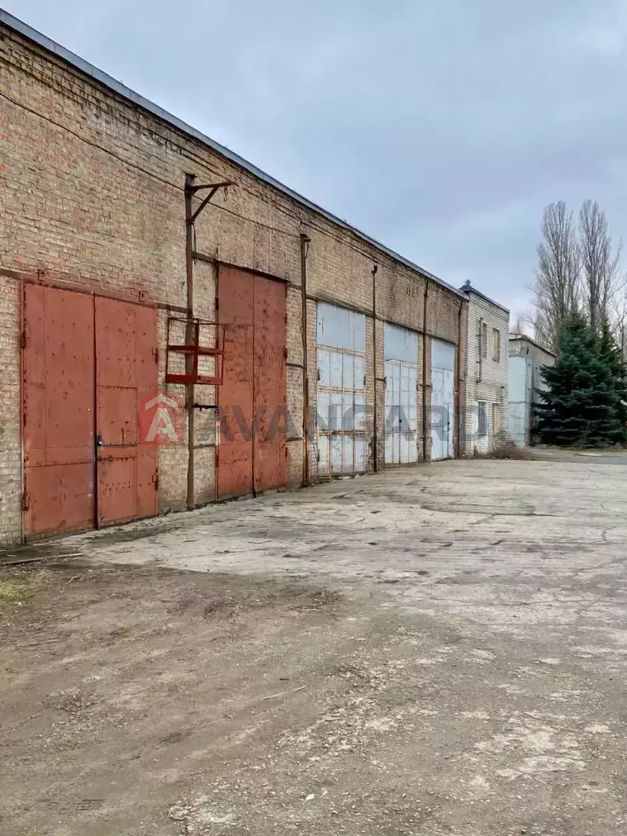 ��������� ���������, 2598 ��.�. ���� 3