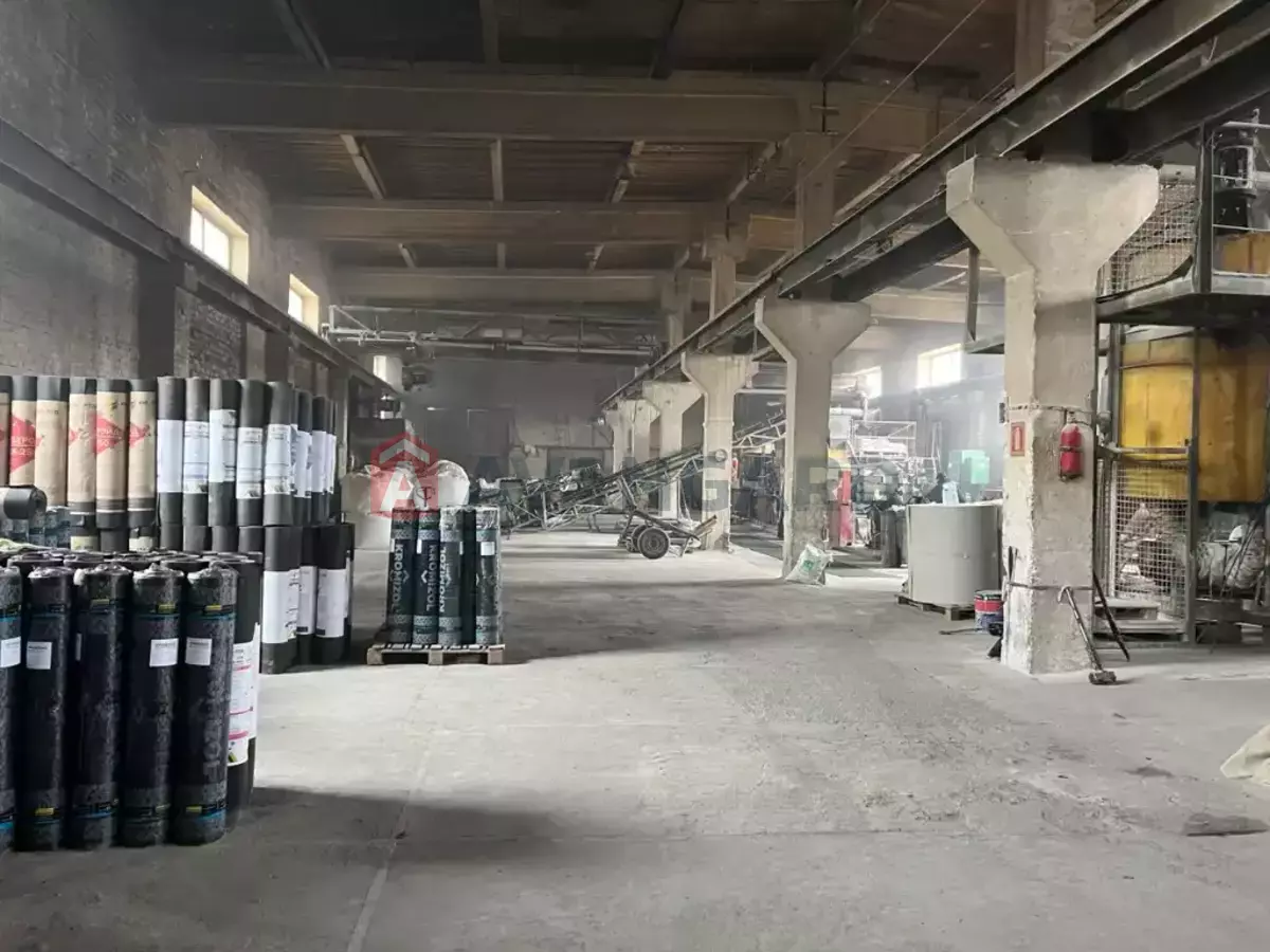 ��������� ���������, 3245 ��.�. ���� 1