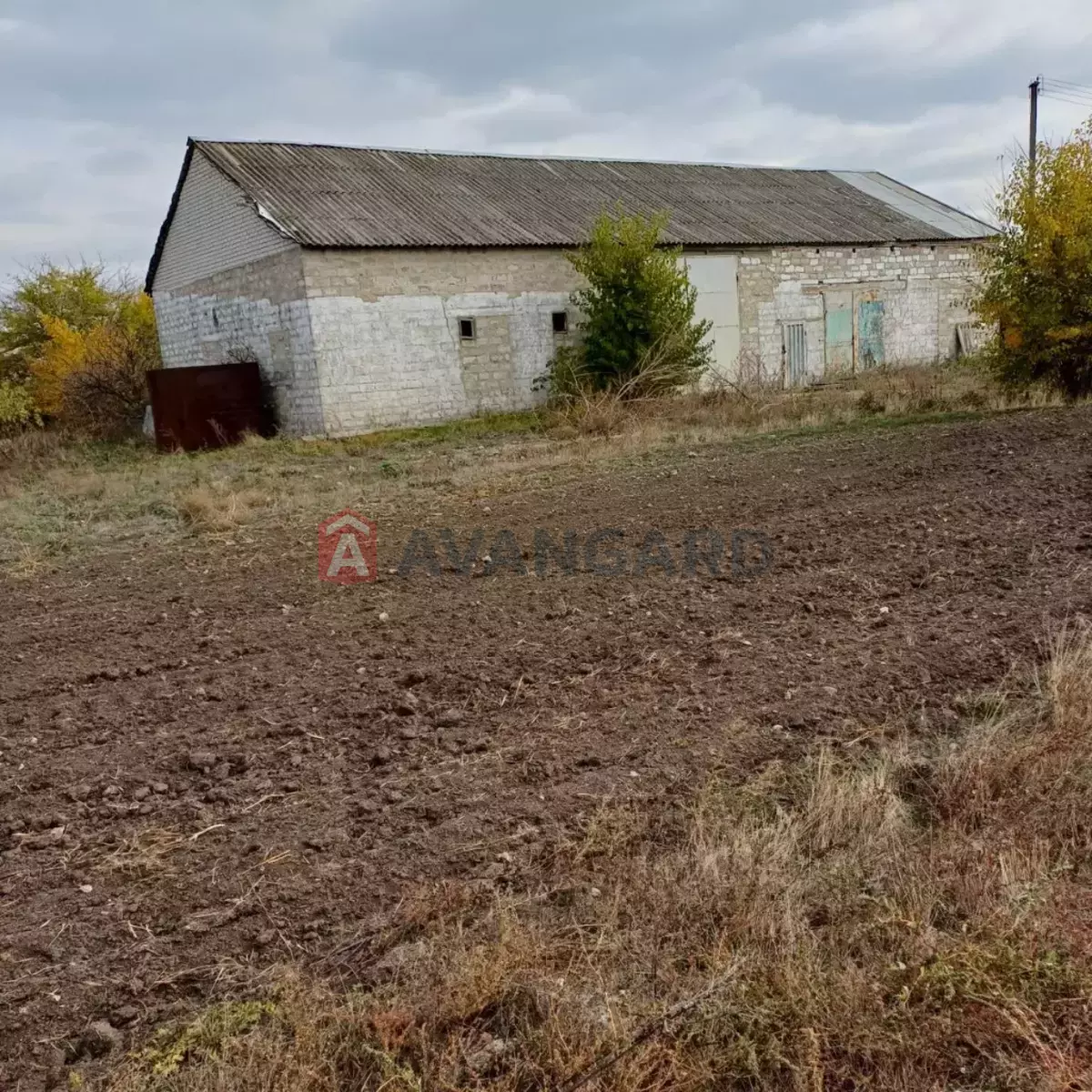 ��������� ���������, 400 ��.�. ���� 8