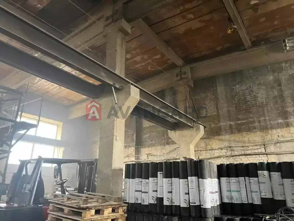 ��������� ���������, 3245 ��.�. ���� 23