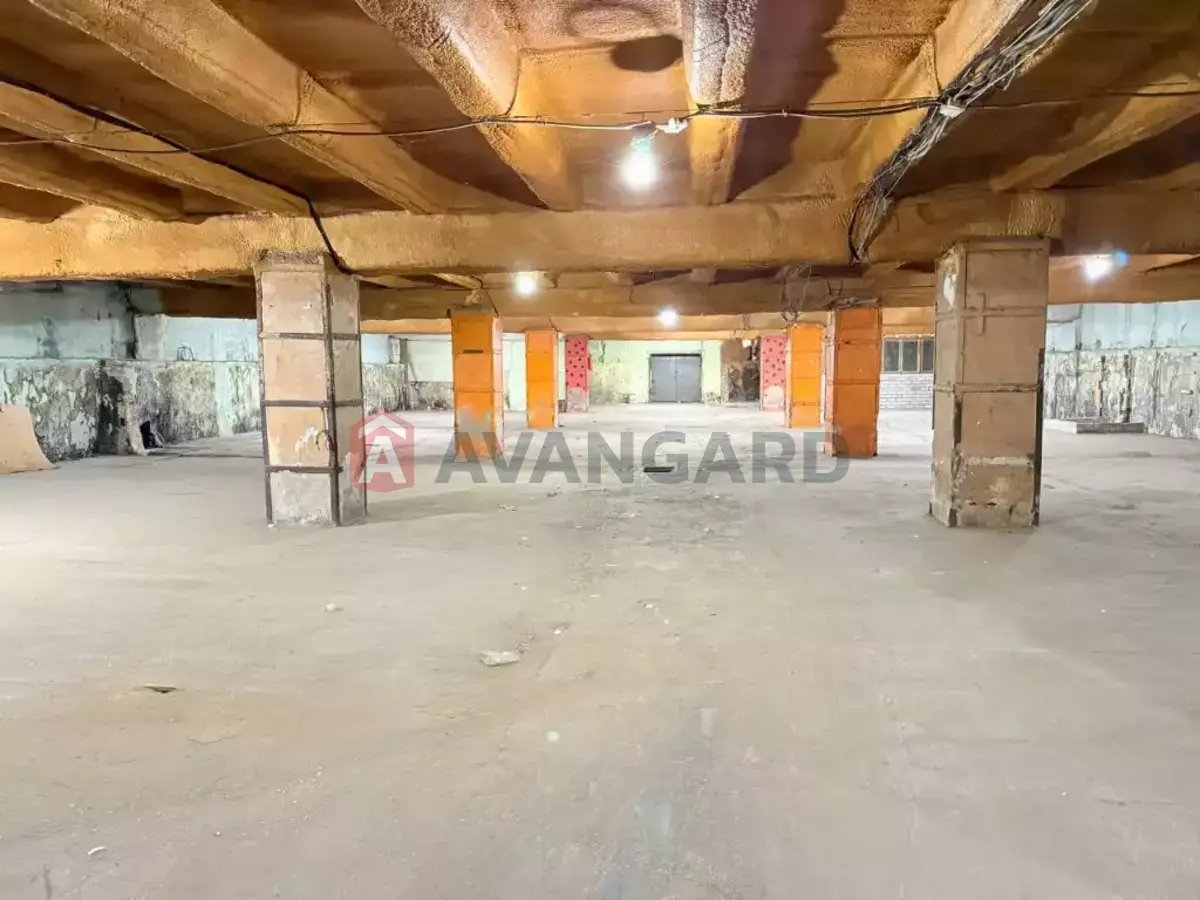 ��������� ���������, 646 ��.�. ���� 1