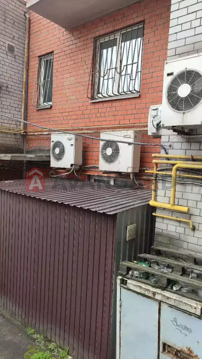 ��������� ���������, 100 ��.�. ���� 5