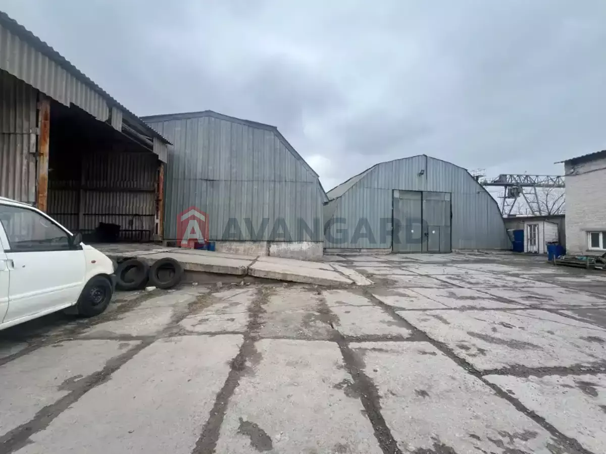 ��������� ���������, 3245 ��.�. ���� 25