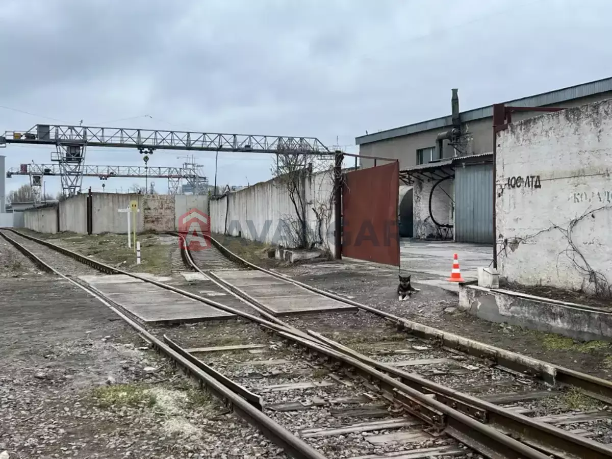 ��������� ���������, 3245 ��.�. ���� 21