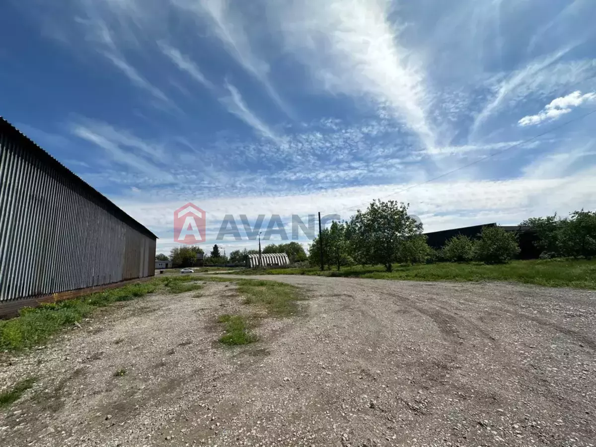 ��������� ���������, 4400 ��.�. ���� 6