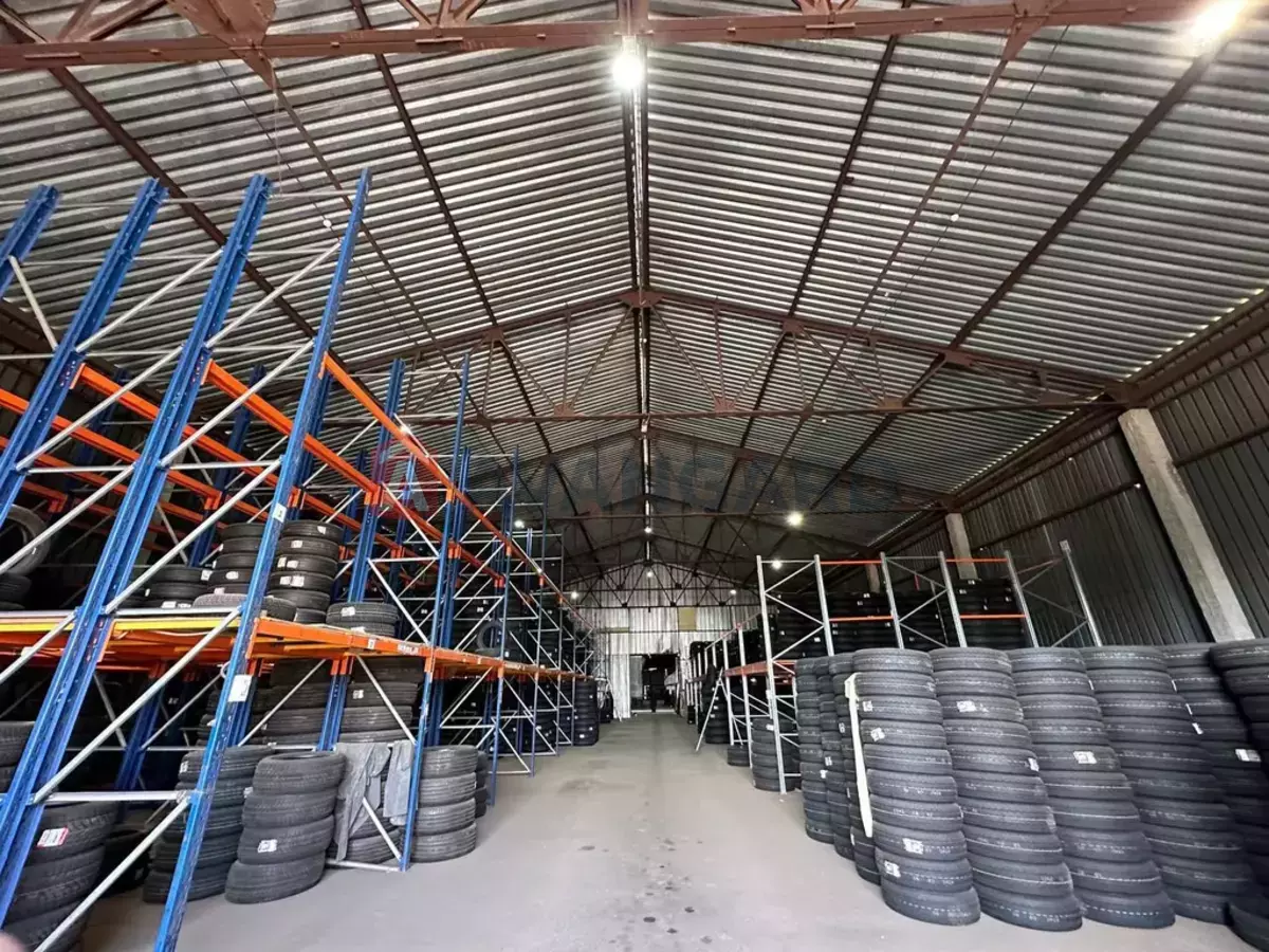 ��������� ���������, 4400 ��.�. ���� 2