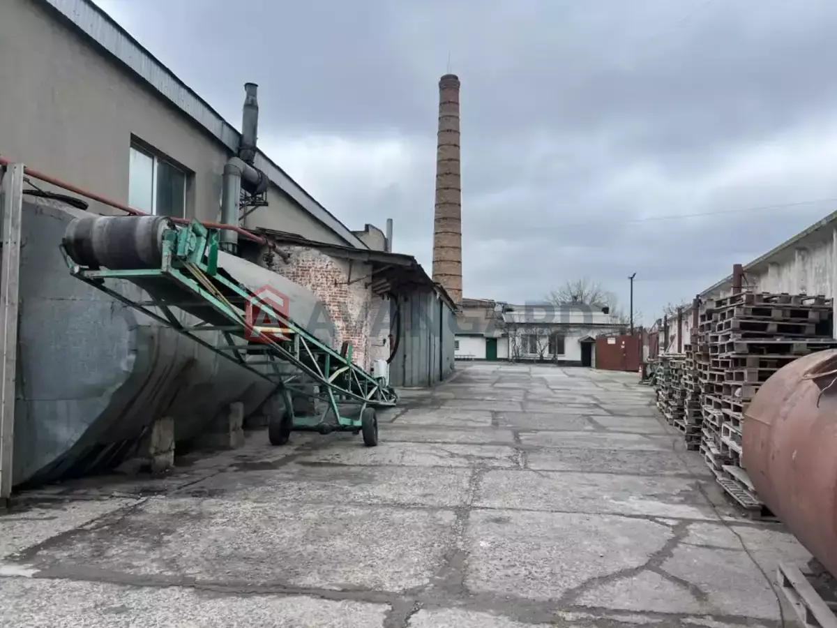 ��������� ���������, 3245 ��.�. ���� 24