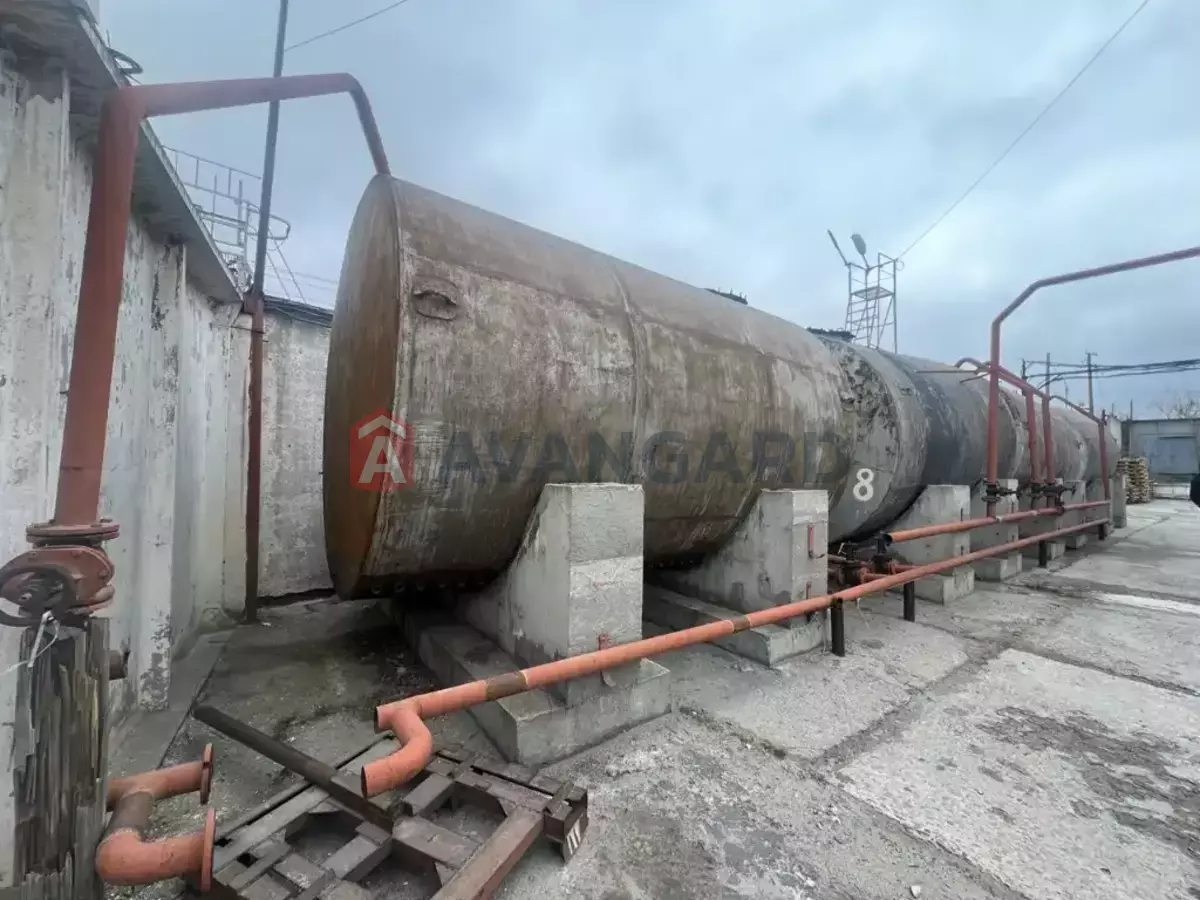 ��������� ���������, 3245 ��.�. ���� 19