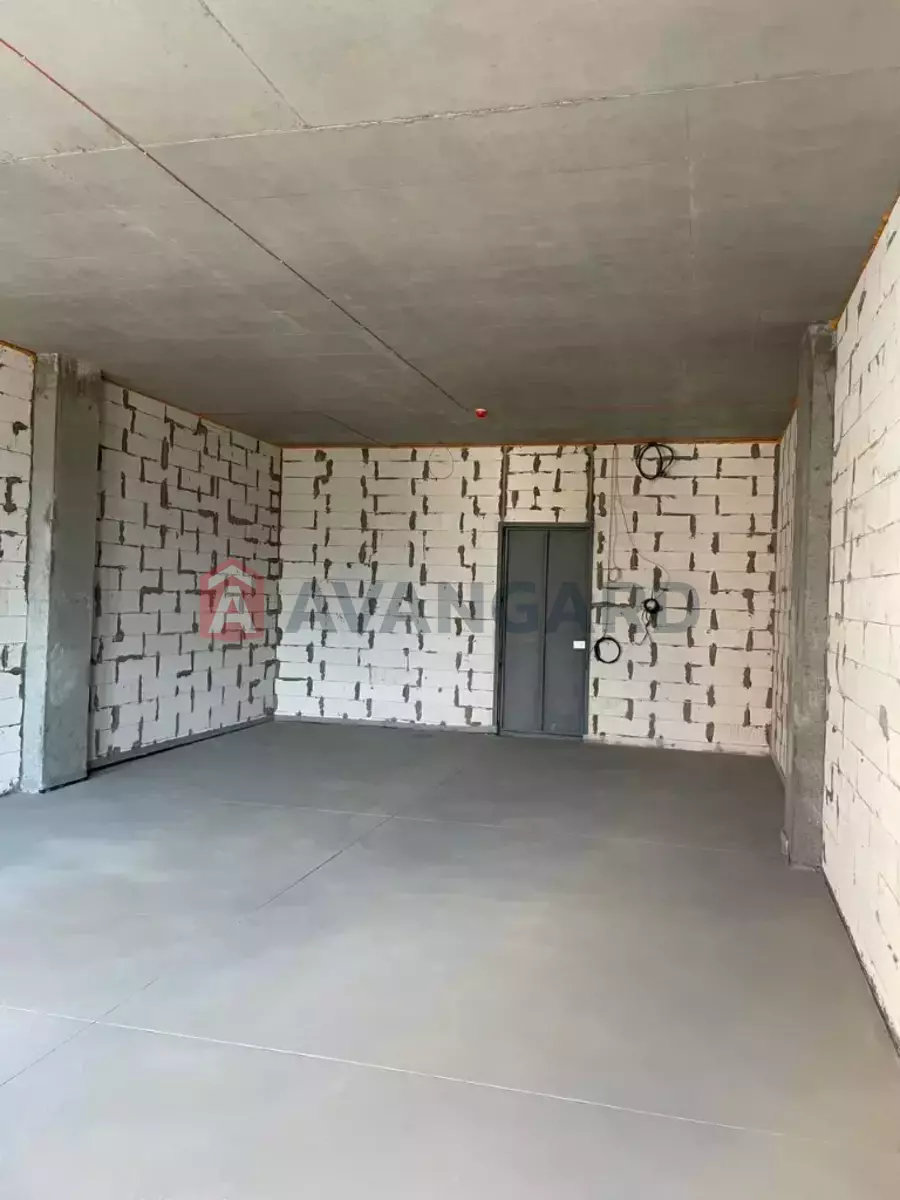 ����, 62 ��.�. ���� 4