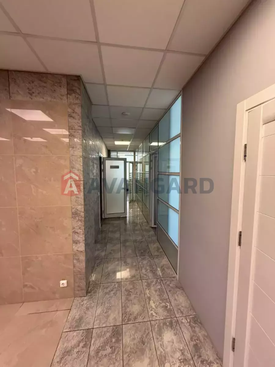 331 ��.�. ���� 10