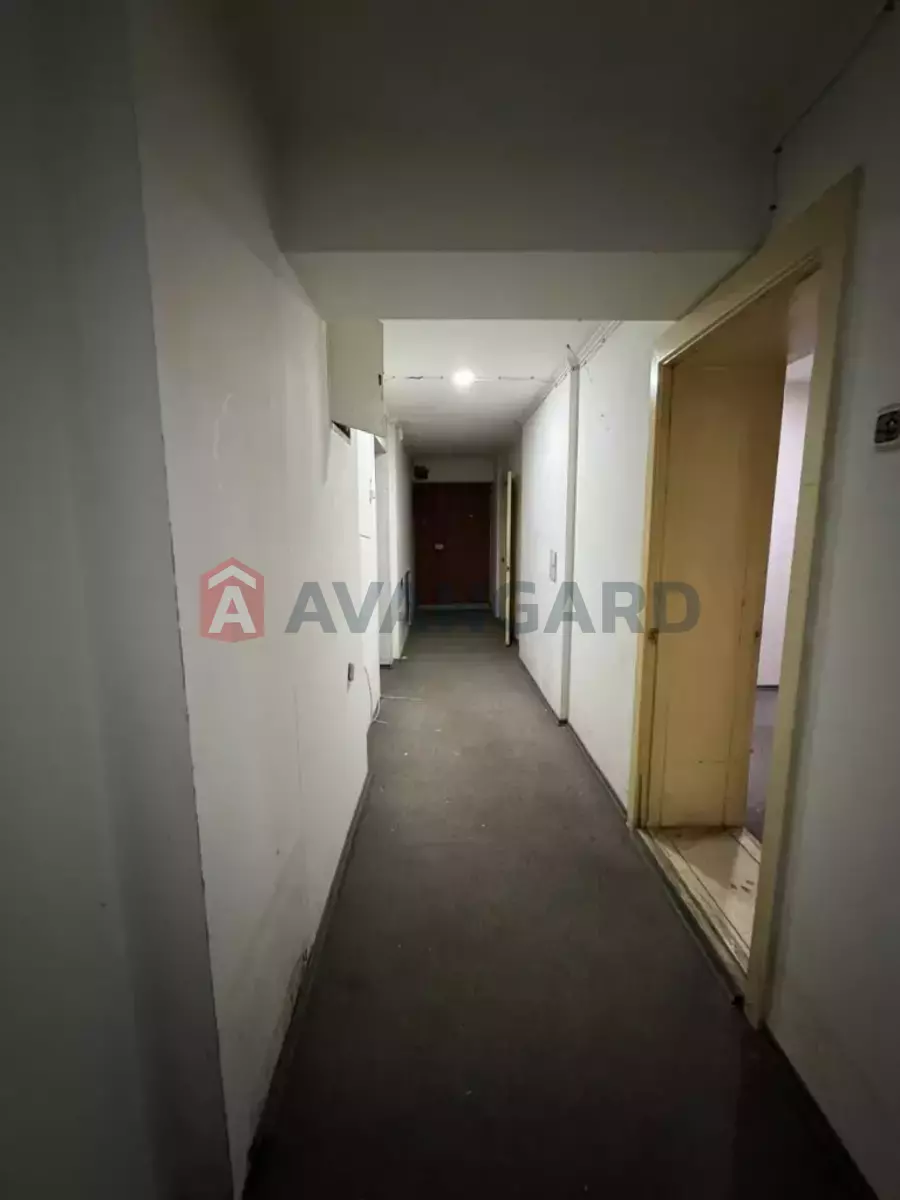 88 ��.�. ���� 7