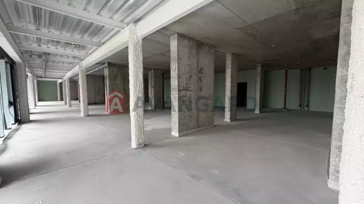 377 ��.�. ���� 6