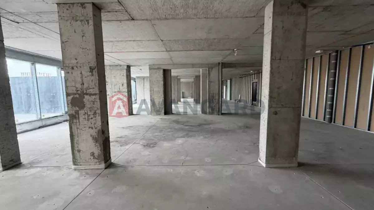 390 ��.�. ���� 3