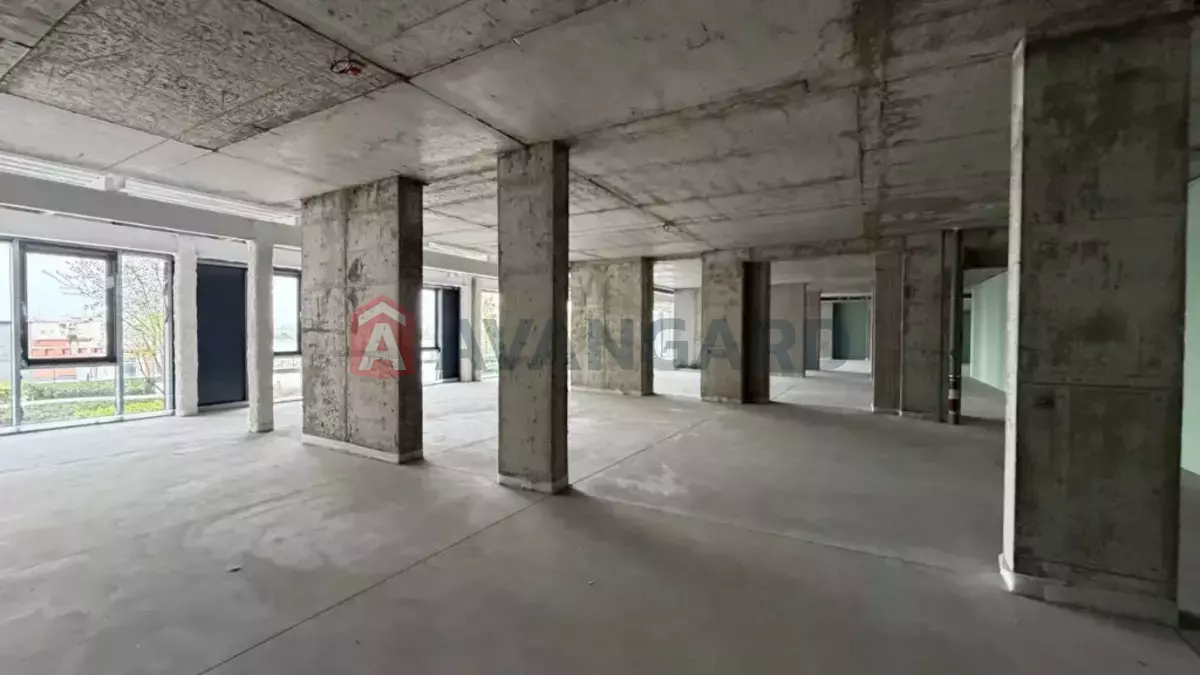 377 ��.�. ���� 5