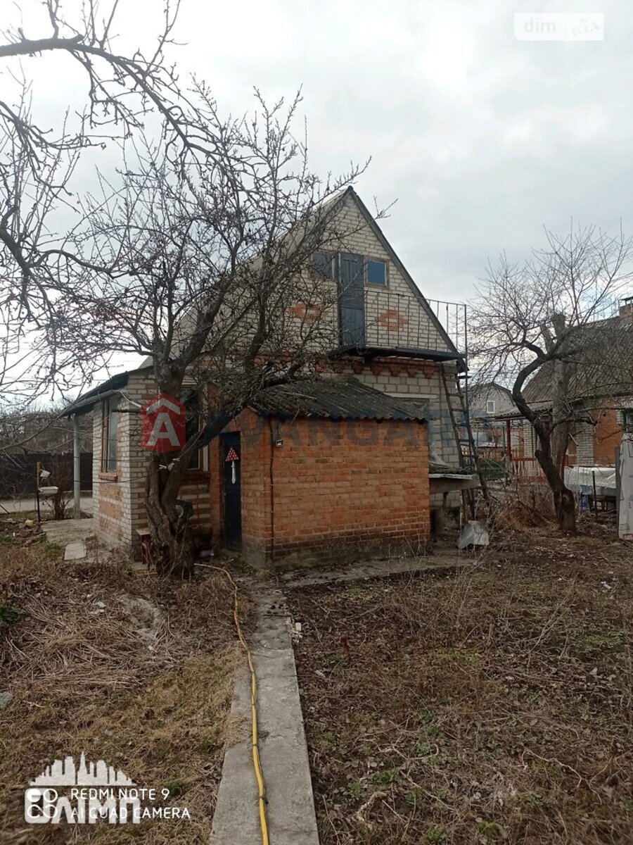 ����� ����, 28 ��.�. ���� 5