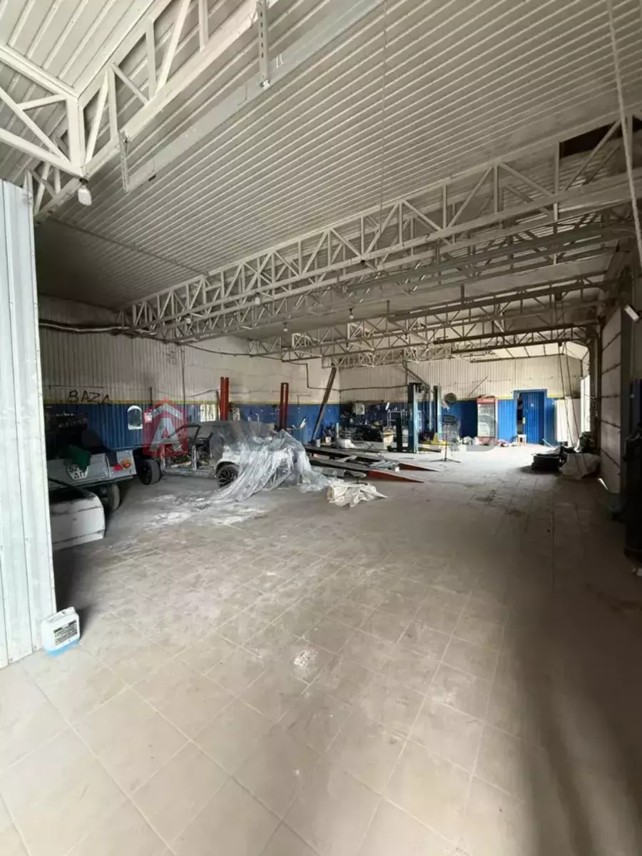 ����, 478 ��.�. ���� 7