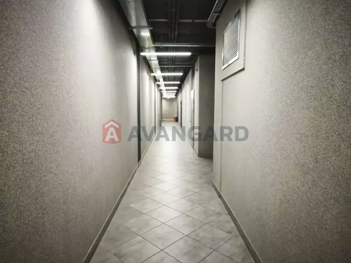 89 ��.�. ���� 3