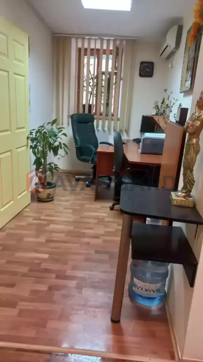 55 ��.�. ���� 7