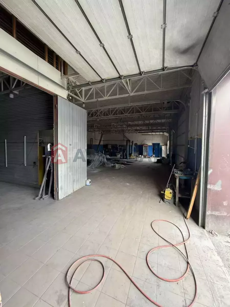 ����, 478 ��.�. ���� 8