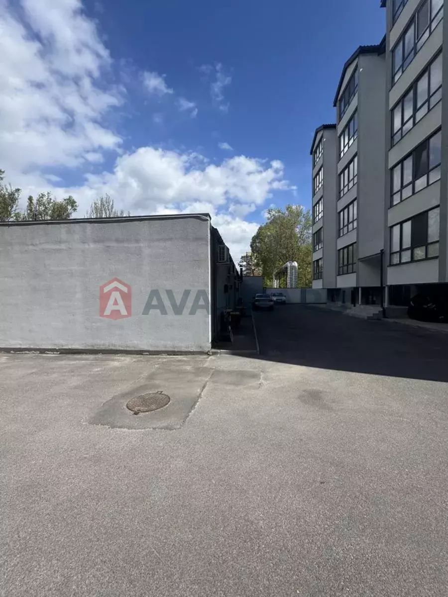 41 ��.�. ���� 13