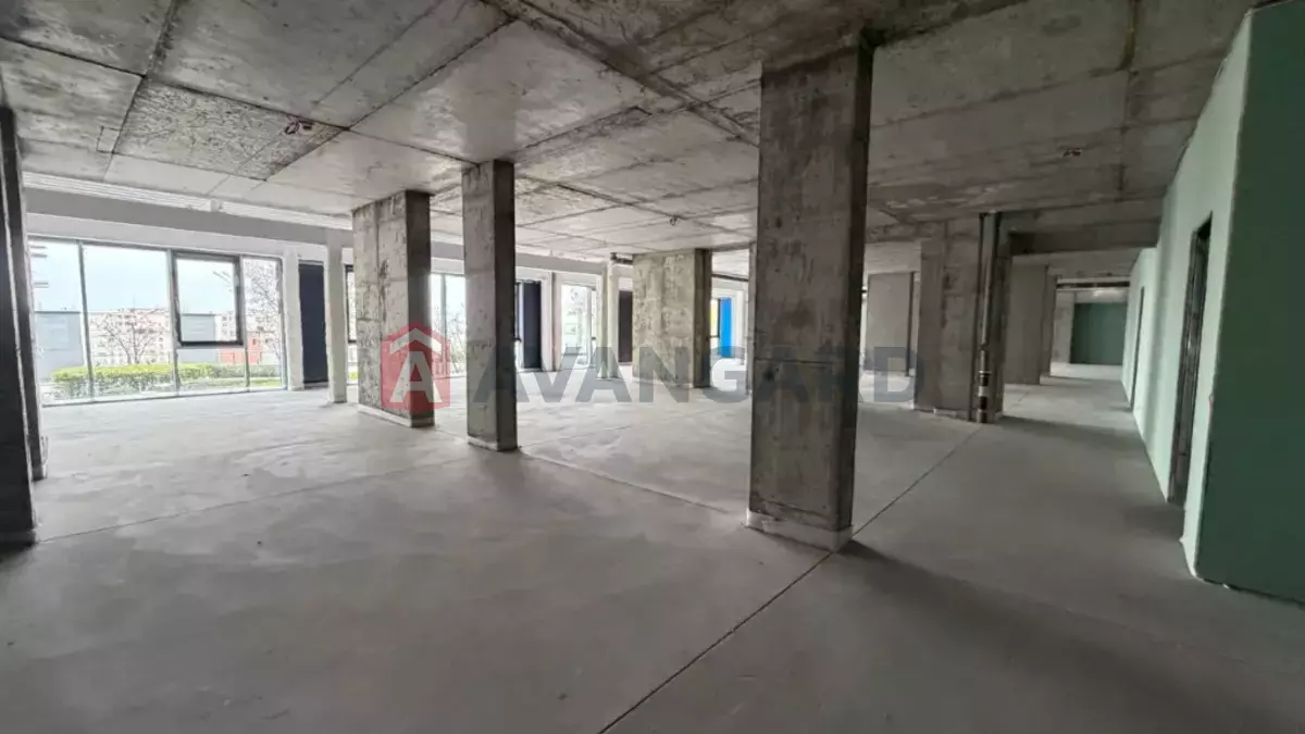 377 ��.�. ���� 4