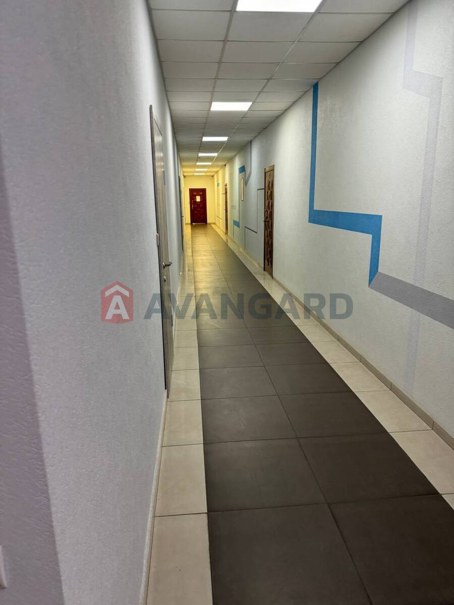 248 ��.�. ���� 19