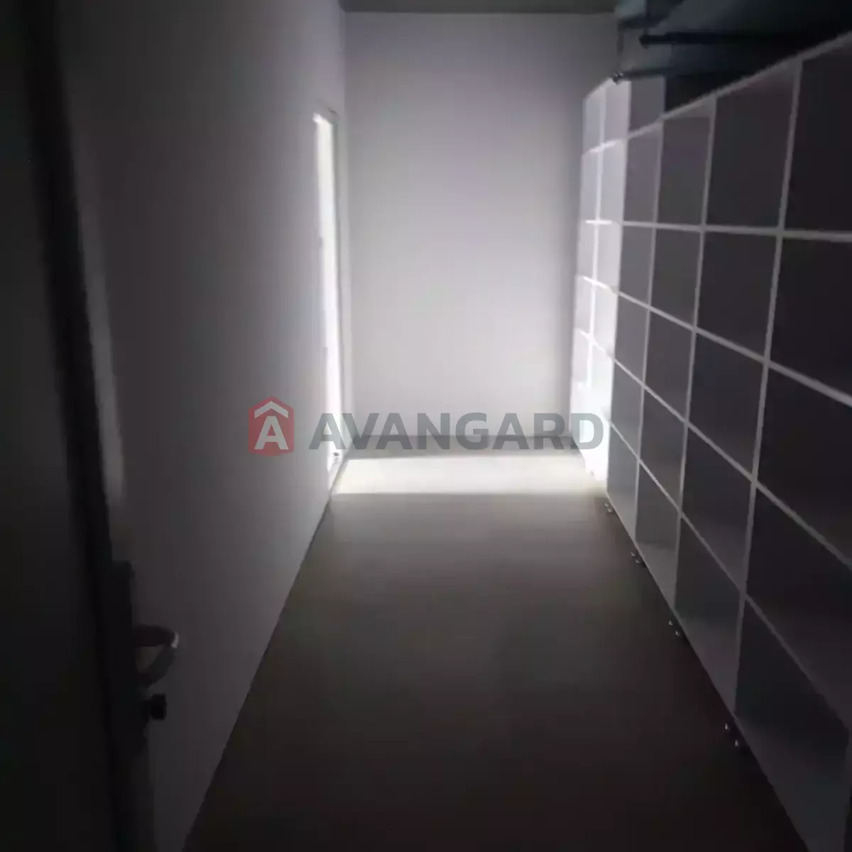 ����, 84 ��.�. ���� 6