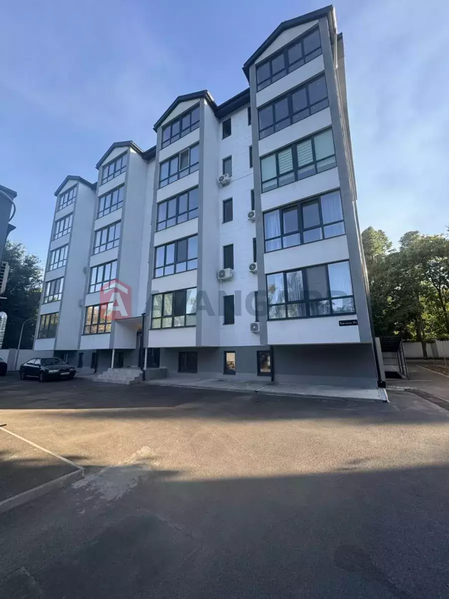 41 ��.�. ���� 7
