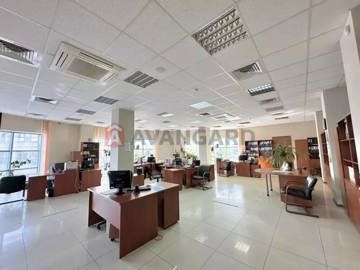 700 ��.�. ���� 2