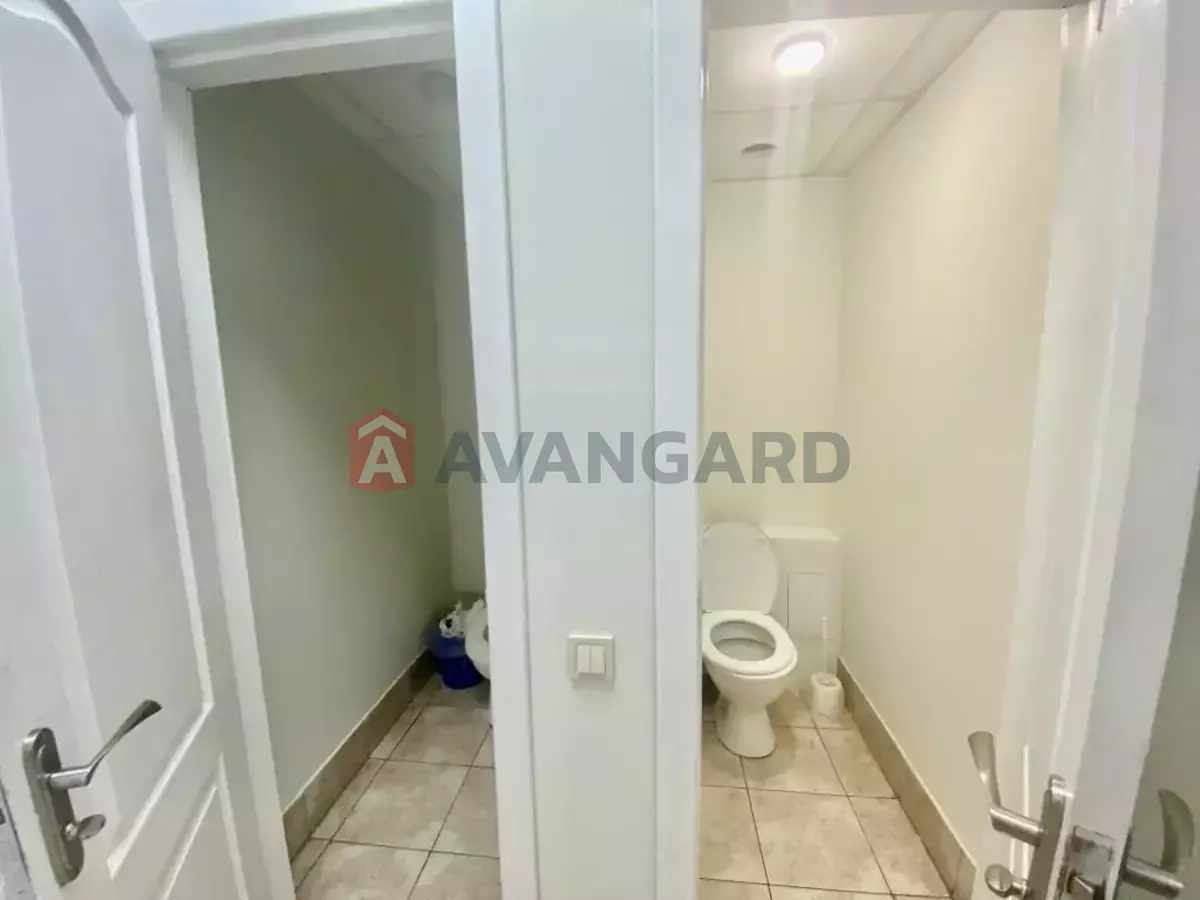 50 ��.�. ���� 6