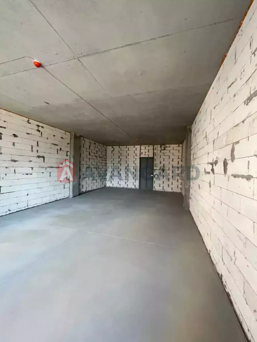����, 62 ��.�. ���� 3