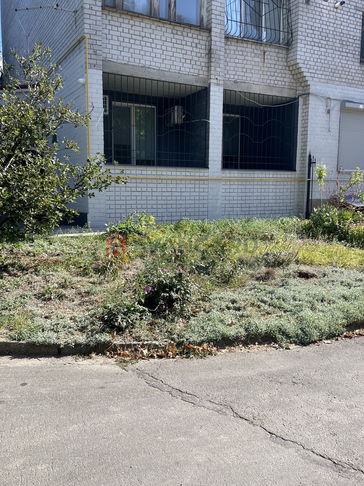 ��������� ��������� � ��������� �������, 92 ��.�. ���� 18