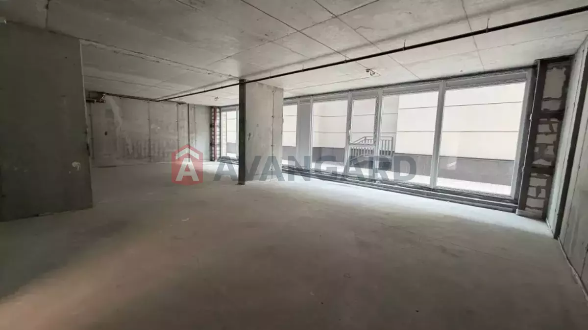 87 ��.�. ���� 1