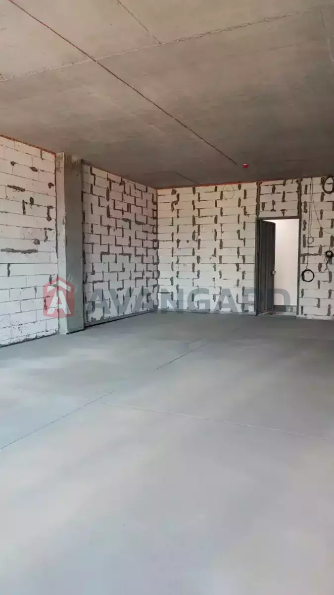 62 ��.�. ���� 3