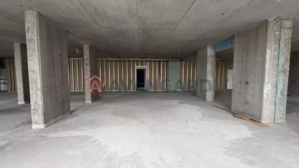 146 ��.�. ���� 6