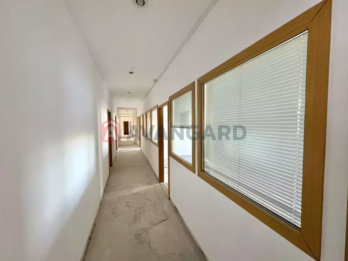 1147 ��.�. ���� 10