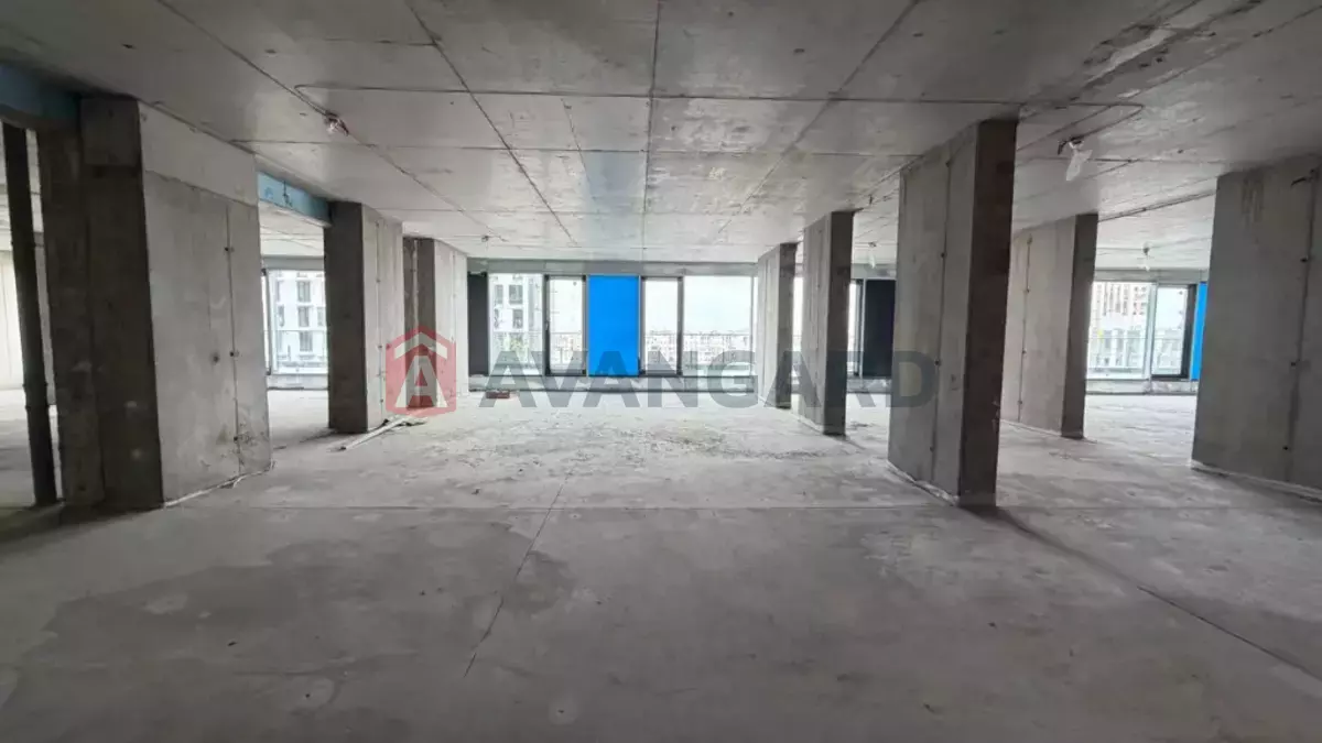 146 ��.�. ���� 1