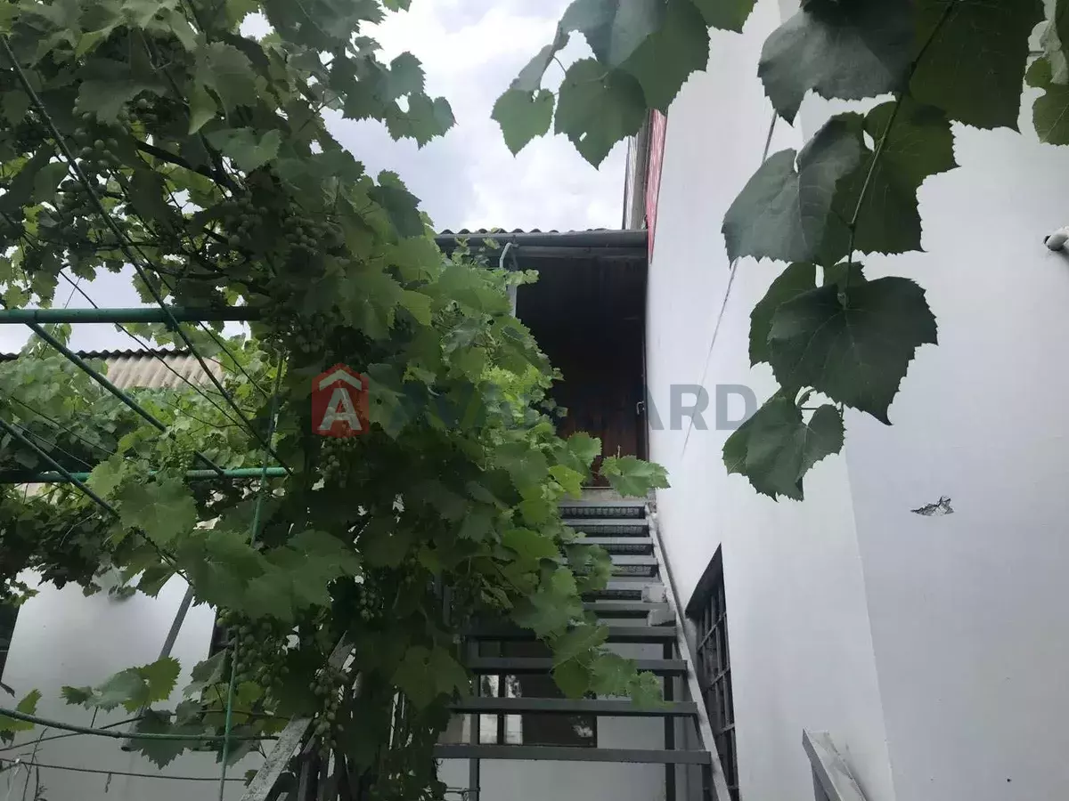 ������ ������ ������, 228 ��.�. ���� 5
