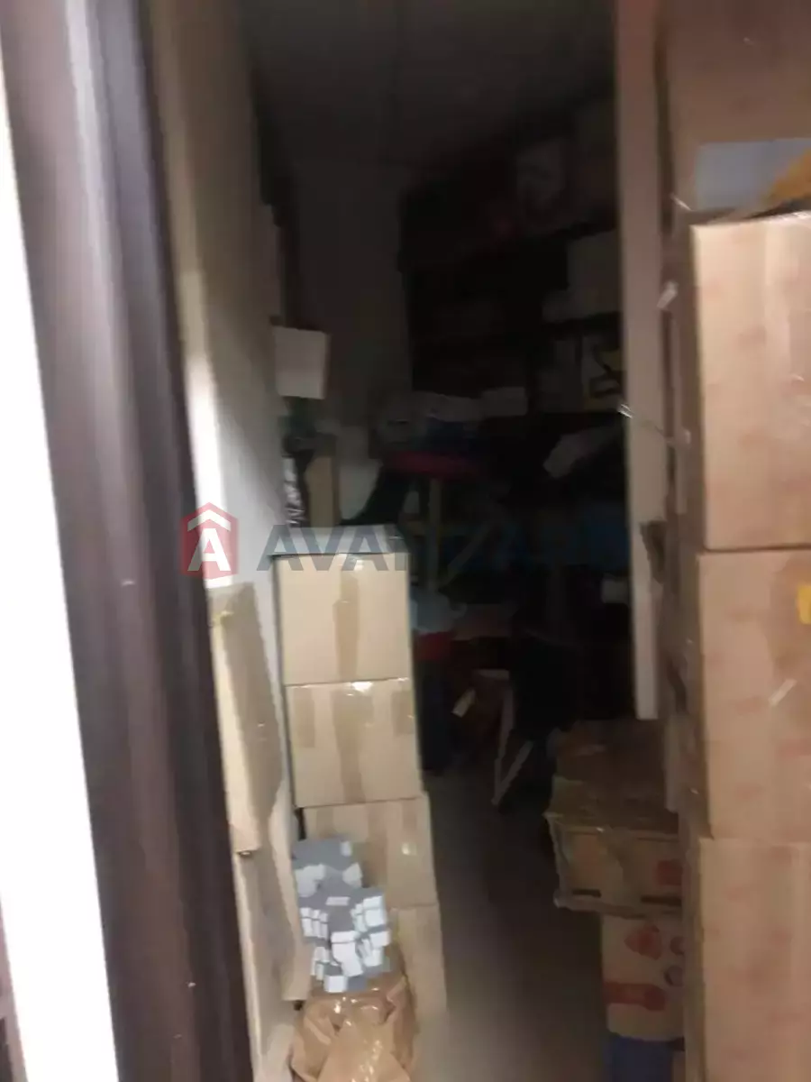 74 ��.�. ���� 22
