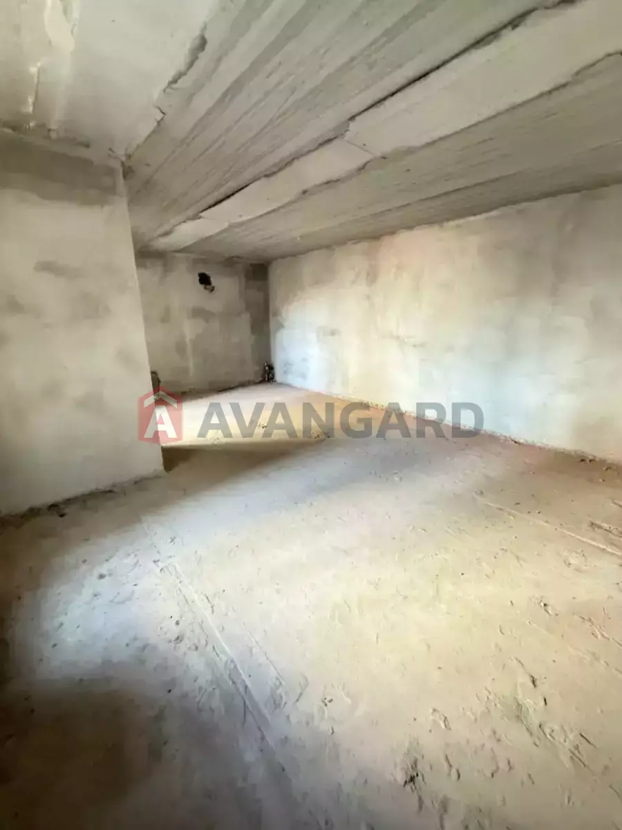 43 ��.�. ���� 6